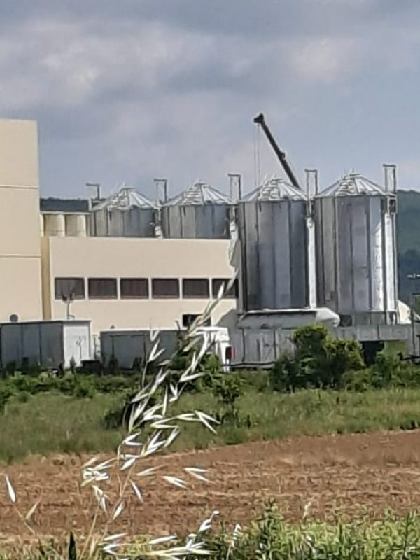 Batignani Spa - Siena